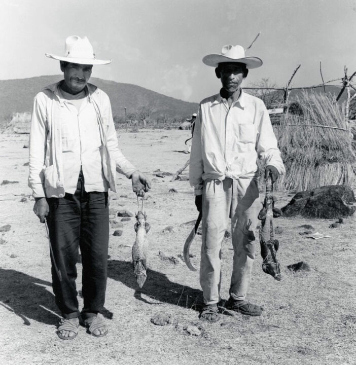 Rodrigo Moya. Campesinos jaramillistas muestran las iguanas que les servirán como alimento. El Guarín, febrero de 1962. Archivo fotográfico Rodrigo Moya.