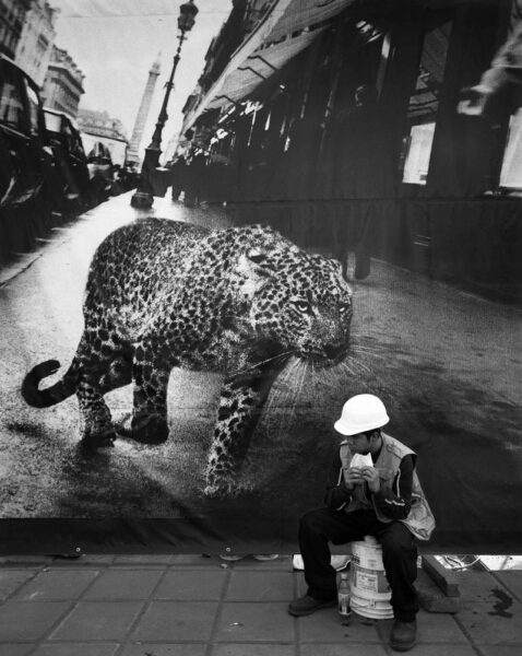 Rafael Doníz. El almuerzo, de la serie De Gigantas y otras quimeras. Era mediodía en la colonia Polanco, Ciudad de México, 1999. Cortesía del autor